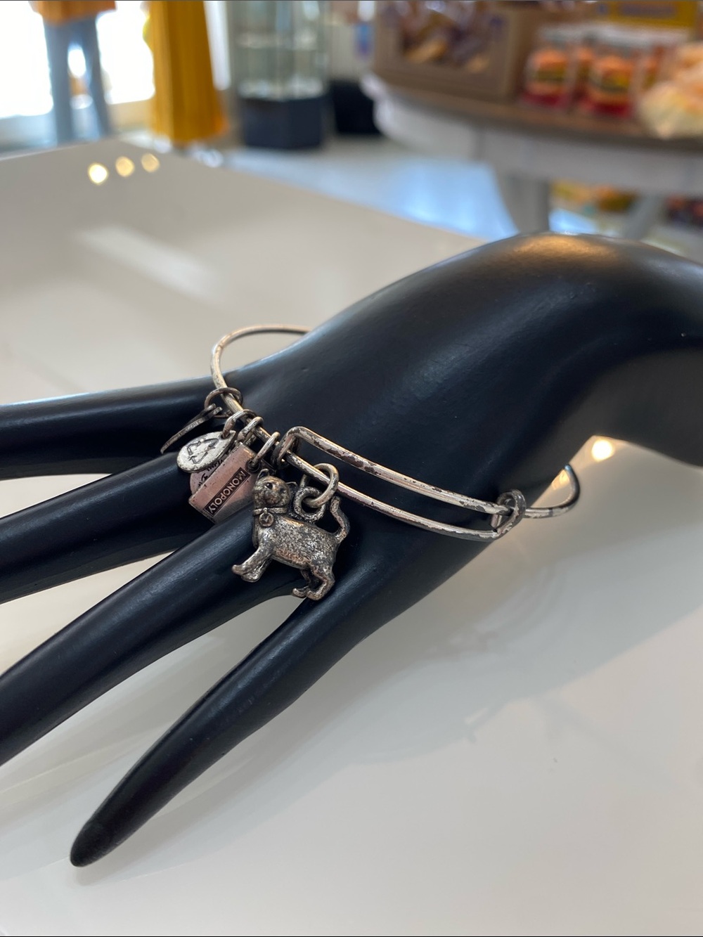 Alex and ani cat Silver Pet Charm Bangle Bracelet - Stylish Everyday Accent